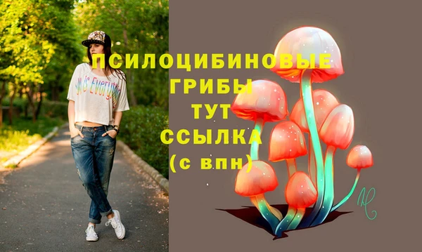 хмурый Абинск